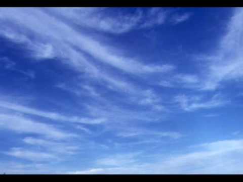 دبكة رجال الحريري
