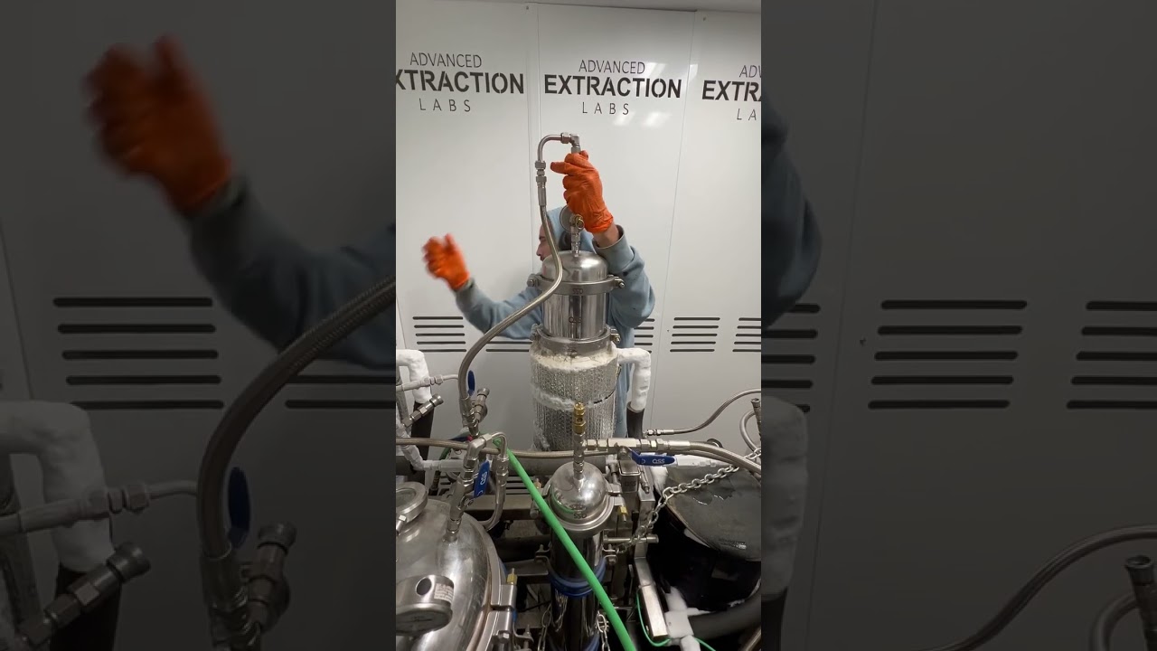 Alive and Well Cured Resin. How is it so affordable?