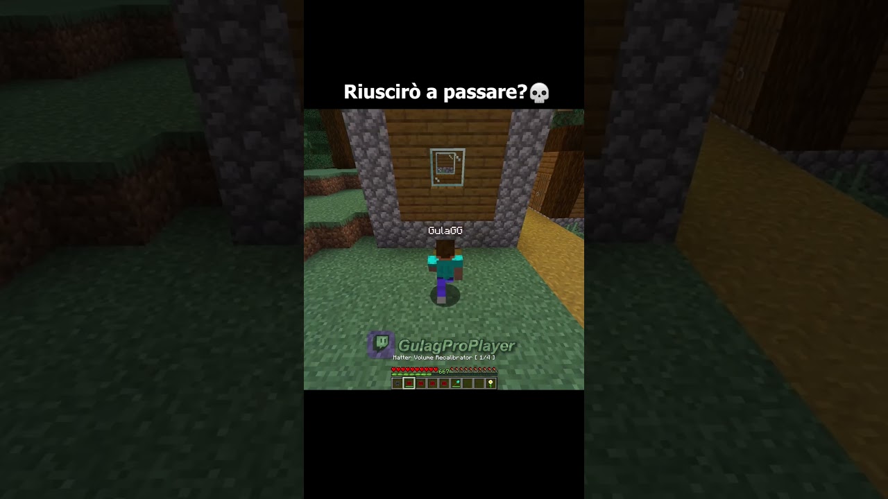 Minecraft Momento Mini 