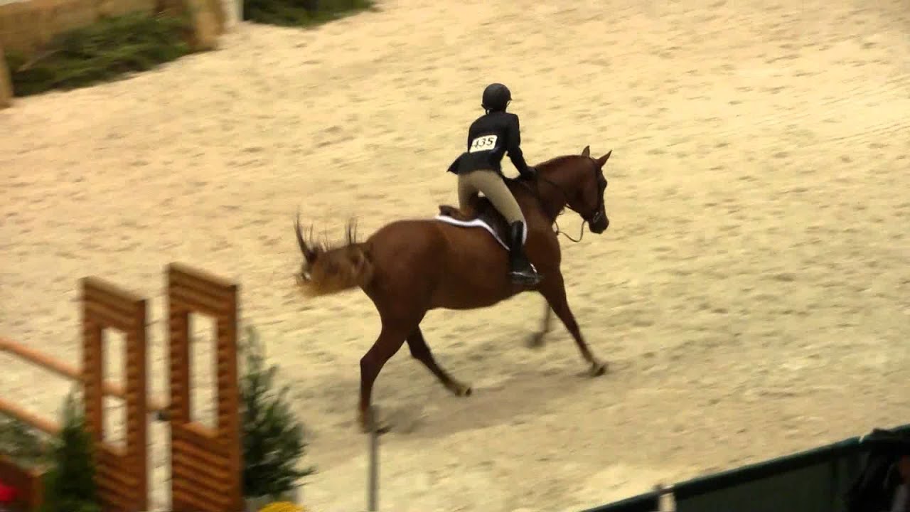 Alexandra Finder and Filo from the Maryland Horse and Pony Show