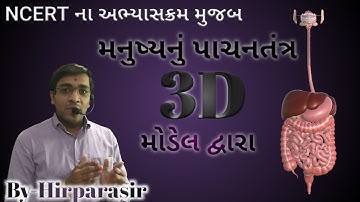 NCERT Std-10 Ch.6 Human Digestive System (મનુષ્યનું પાચનતંત્ર) 3D Animation #Hirparasir
