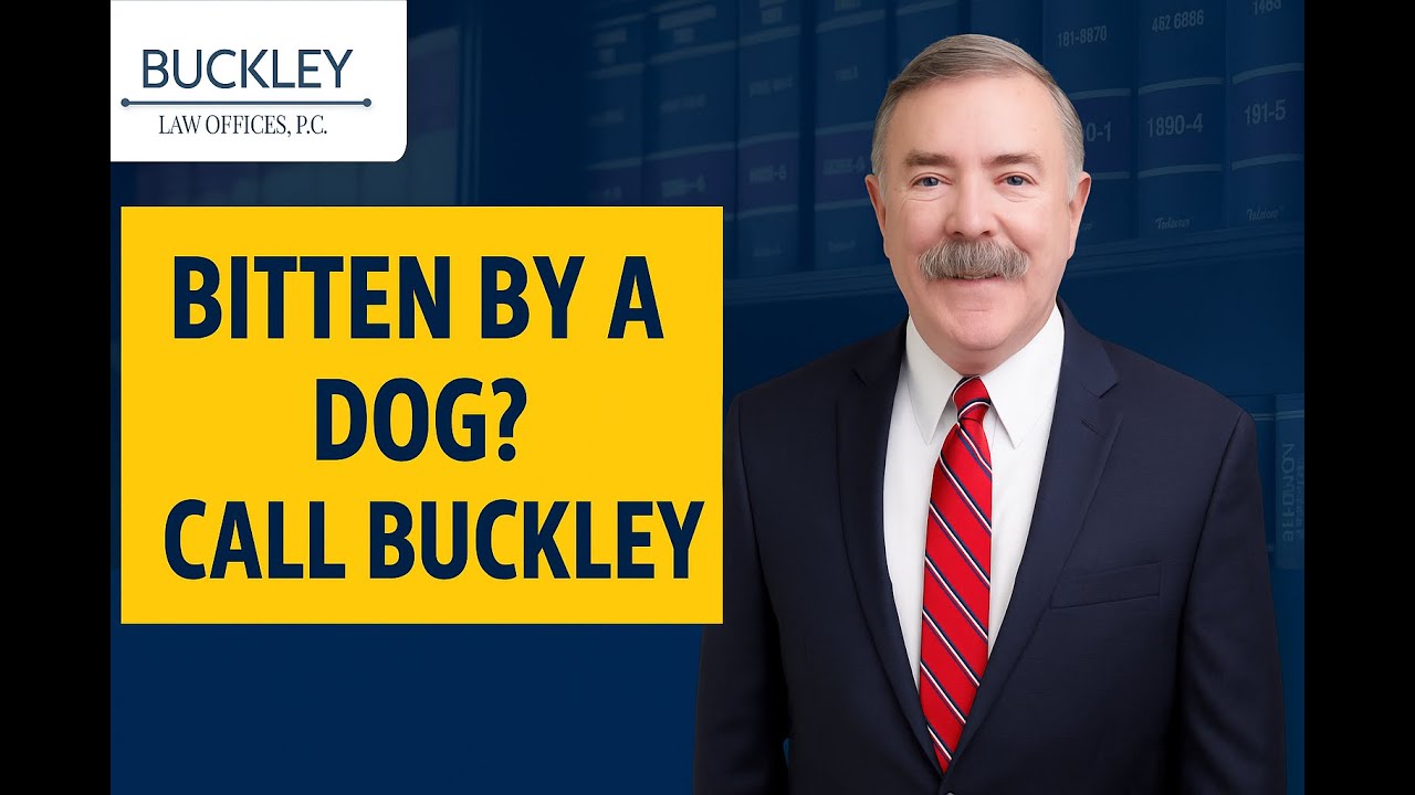 Bitten by a Dog? Call Buckley Law Offices for Fast Legal Help