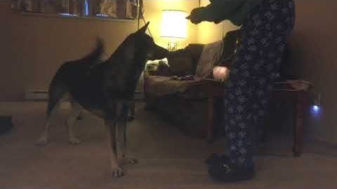 Tovah: lesson one delayed reinforcement