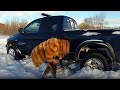 БАРАН - ПРОХОДИМЕЦ! // Тест-драйв Dodge RAM 1500