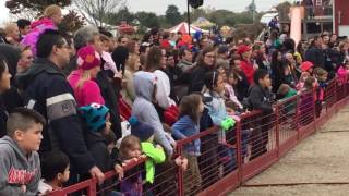 Goebbert's Farm Pig Race fall 2016