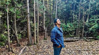 5 Questions That Will Change Your Life FOREVER