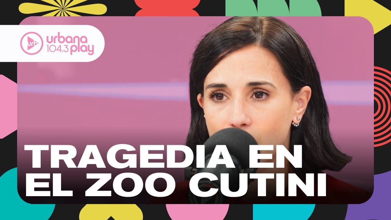 Quiso alimentar a la osa y le arrancó su brazo #VueltaYMedia