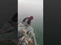 هور الفلاحیه