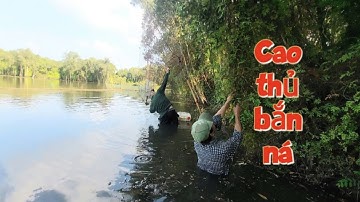 Cao thủ bắn ná săn chuột mùa nước nổi[HoatimLucbinh