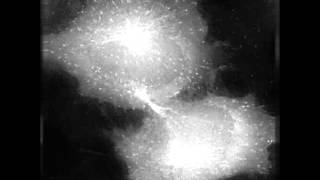 Cytokinesis In Hela Eb1-Gfp