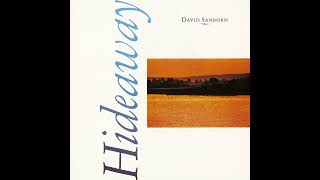 David Sanborn - The Seduction Love Theme - 1980