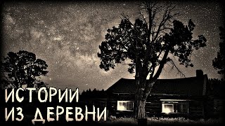 Истории из Деревни (3в1)