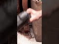 [Grumpy Carpenter] Ketan twig hook【暴躁木匠】科檀拼樹枝掛鈎