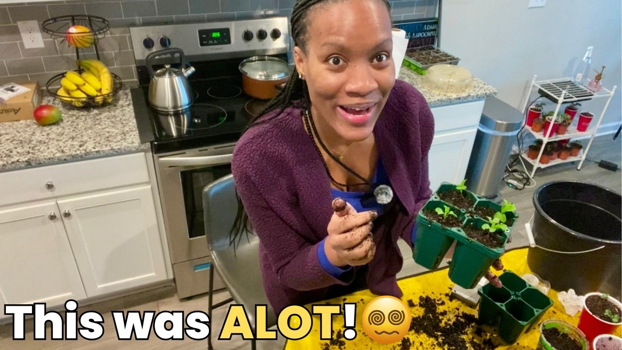 Это было некрасиво... но это нужно было сделать | Пересадка гидропонных саженцев в почву 🥬