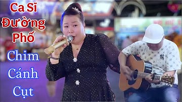 Chim Cánh Cụt Hát Live Giữa Đường Phố Cực Hay Cùng Band Nhạc - Liên Khúc Nhạc Remix Dài Nhất