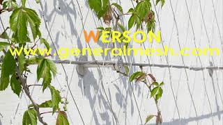 Generalmesh Stainless Steel Garden Trellis,Flexmesh Green Wall,Stainless Steel Cable Trellis