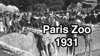 Paris 1931, the Zoo (silent 16mm film)