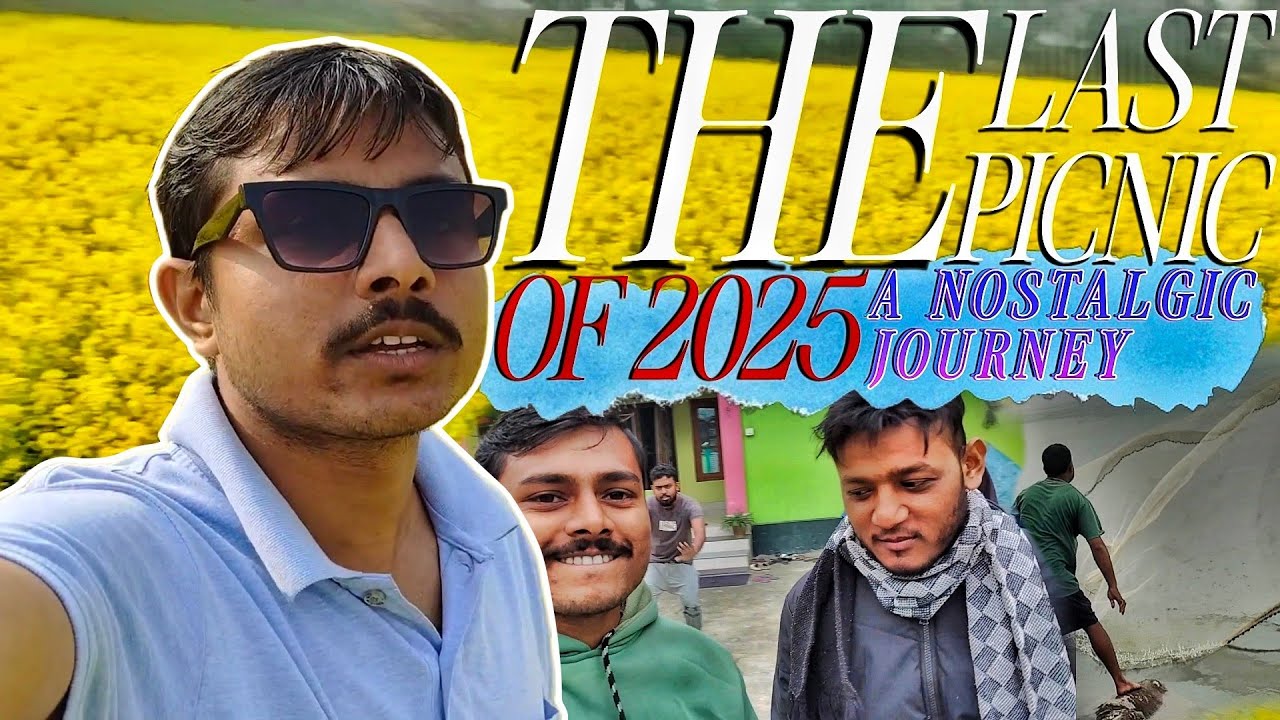 The Last Picnic of 2025: A Nostalgic Journey