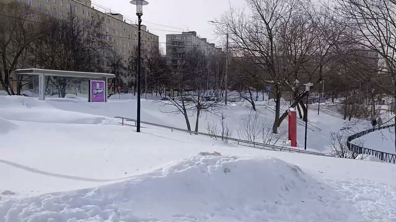 На площадке будущей станции метро Бирюлëво начали рубить деревья