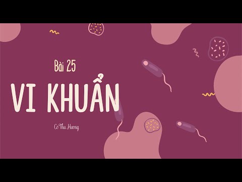 Video Bài 25: VI KHUẨN (phần 2) - Khoa học tự nhiên lớp 6 -... - YouTube