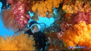 Raja Ampat Reefs