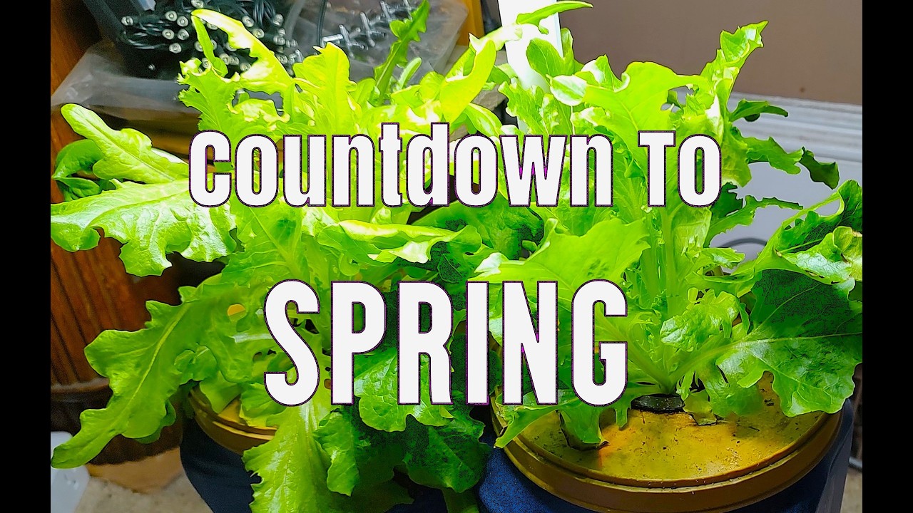 Gardening information update - Countdown to spring 2026. Home gardening. Backyard gardening .