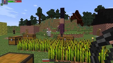 2016 Minecraft: Ancient Entity DivineRPG Kade and I