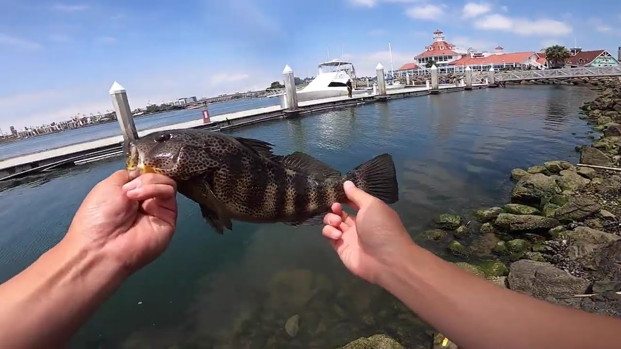 Exploring SoCal for Spotted Bay Bass!