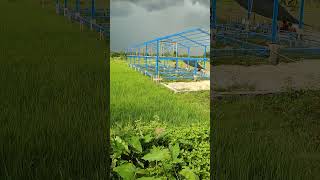 Kandang Ayam Tingkat 2 Bahan Besi Di Pinggir Desa