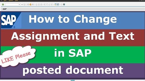 How to Change Assignment & Text in SAP posted document