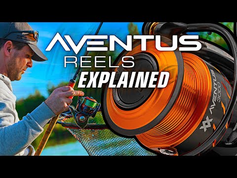 The Aventus Reels Explained
