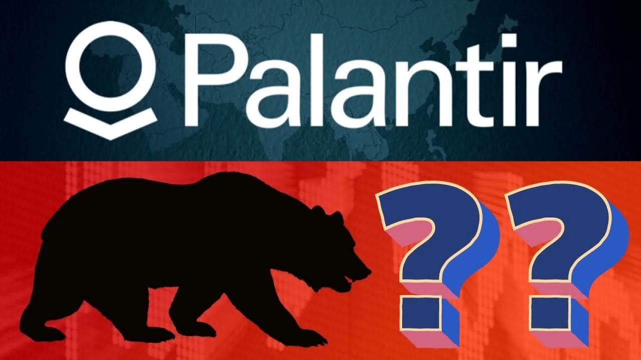 Palantir Stock Is Crashing!! | PLTR Stock Update | Should i Buy Or Sell PLTR Stock | HTZGQ Stock