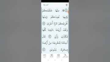 سورة  طه بالتجويد المبسط الصفحة (٣١٥)