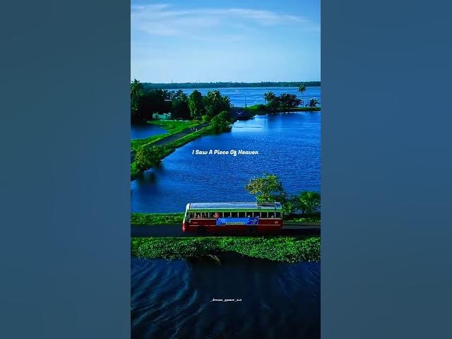 I Saw A Piece Of Heaven👀💗 Lyrics Status Video #shorts #trending #viral