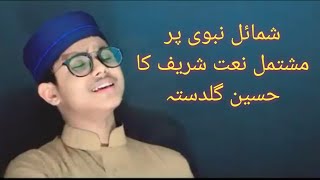 Now Naat Recitation |شمائل نبوی نعت | @softquran1458 screenshot 1