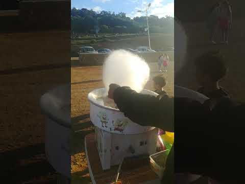 السعيدية بوهارون تيبازة