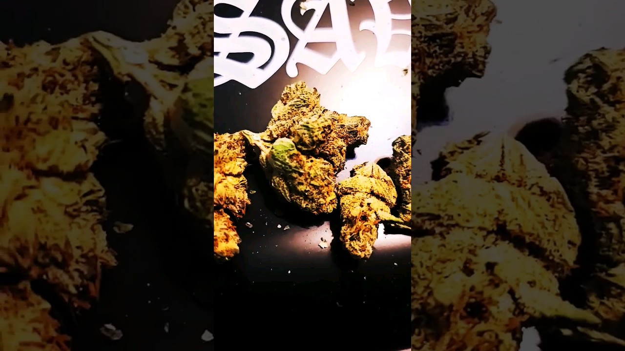 DOUBLE TROUBLE by CRESCO REVIEW UP!