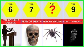 Probability Comparison: Fears & Phobias Compared