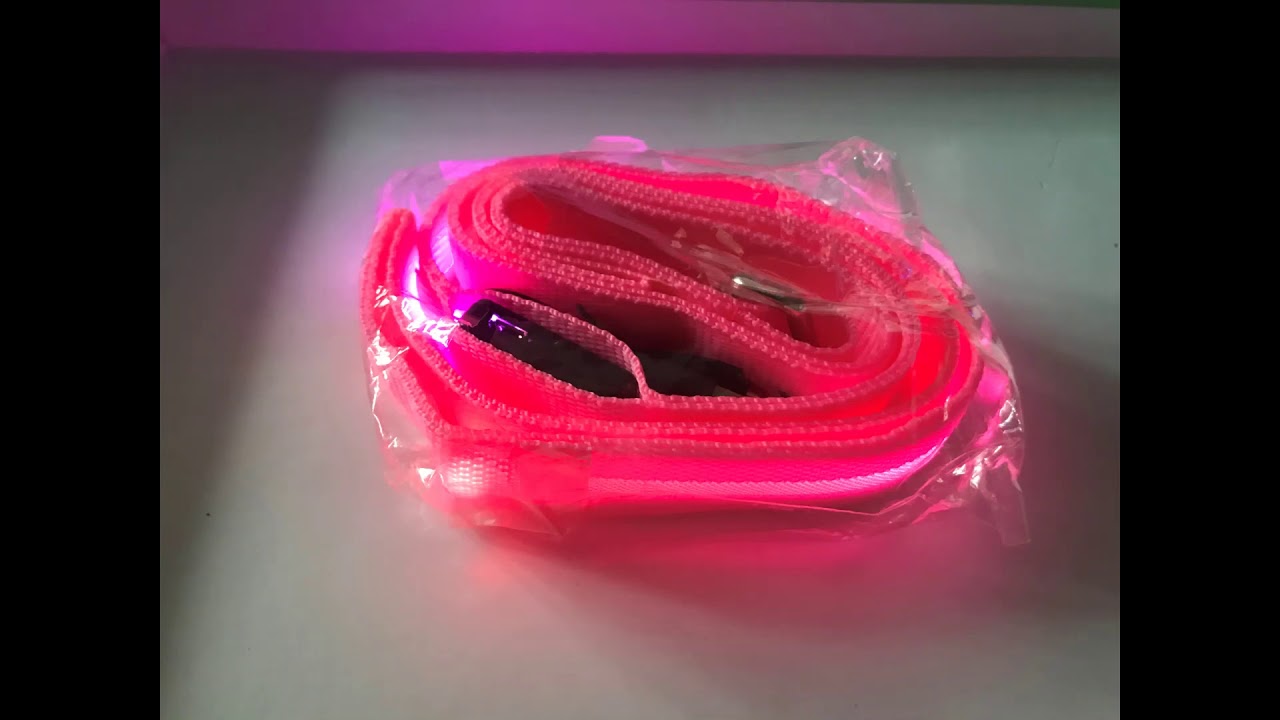 Pet Supplies Network LED vid YouTube