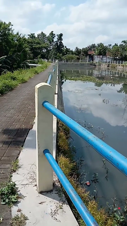 Telaga Sunyi by Koes plus bersaudara #koesplusmania