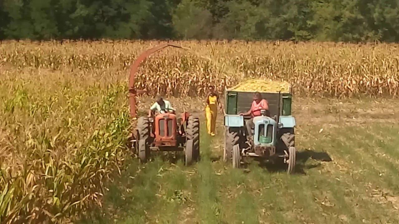 Imt 558 i sip sempeter seca silaze 2017