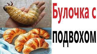 Приколы! СЕКРЕТ БУЛОЧКИ! Смешные видео - Доми шоу