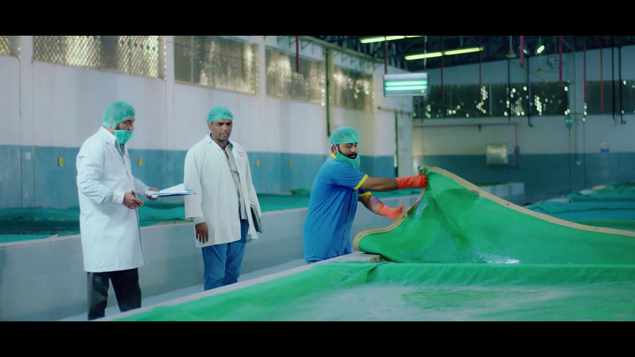 Investment Opportunities in Pakistan Food Processing Sector