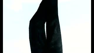 clip 1 785 360 168 894 clip 1 785 360 168 894