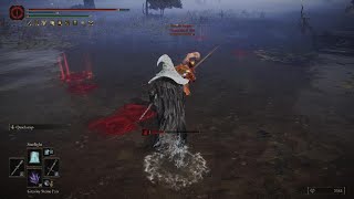 Famous ELDEN RING Reverse Quickstep Backstab Profile