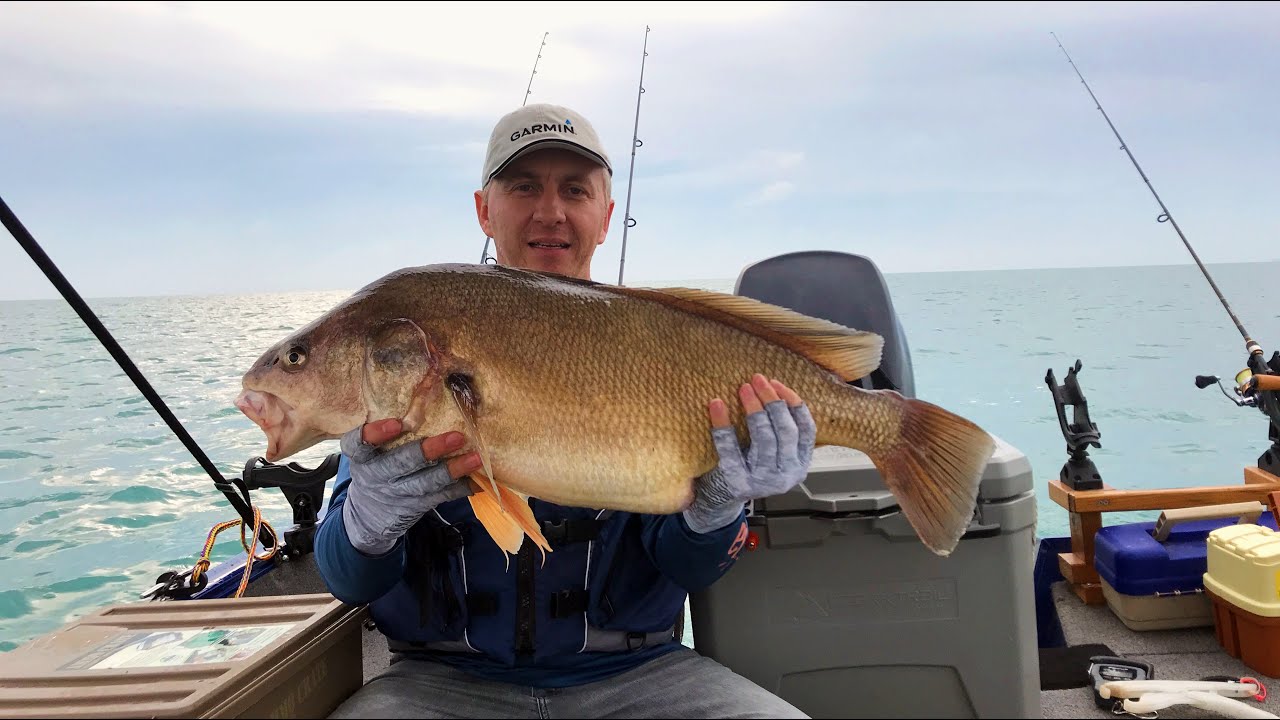 MONSTER Drum from Lake Michigan, downtown Chicago YouTube