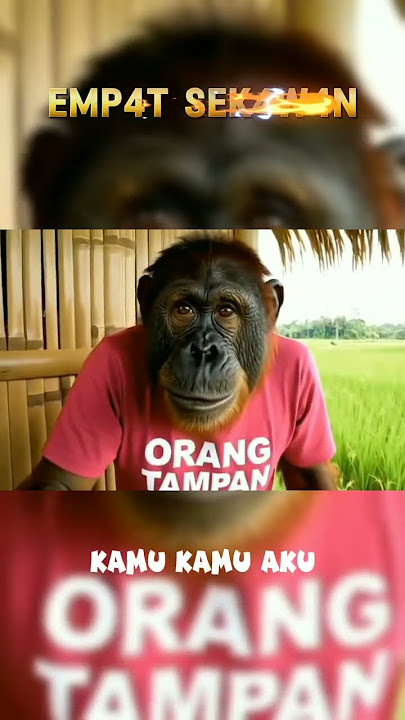 paling tampan mau malam mingguan#funny