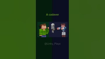 “What do you call this in English?” - Linky & Jack | #minecraft #2025 #blockbench #animation