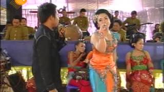 tak tunggu balimu - supra nada