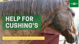 Help for the Cushing's Horse